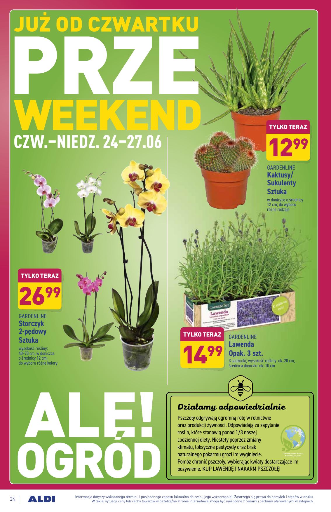 Gazetka Gazetka Aldi