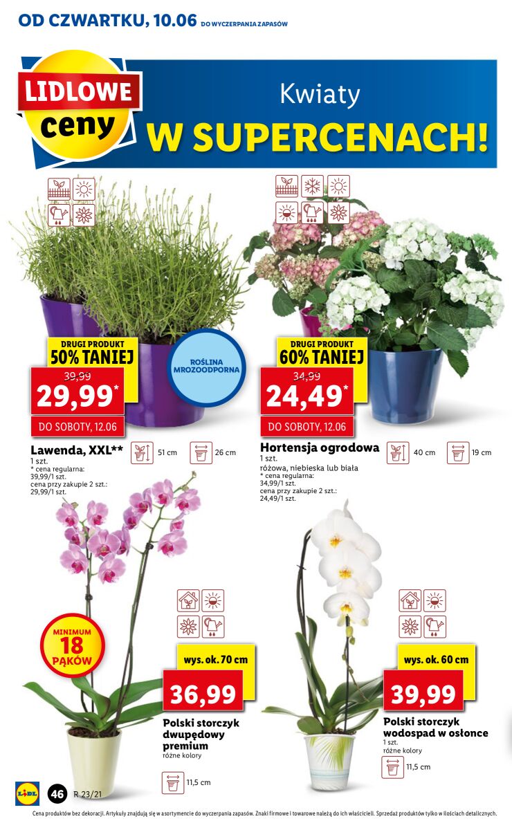 Gazetka OFERTA WAŻNA OD 10.06 DO 12.06