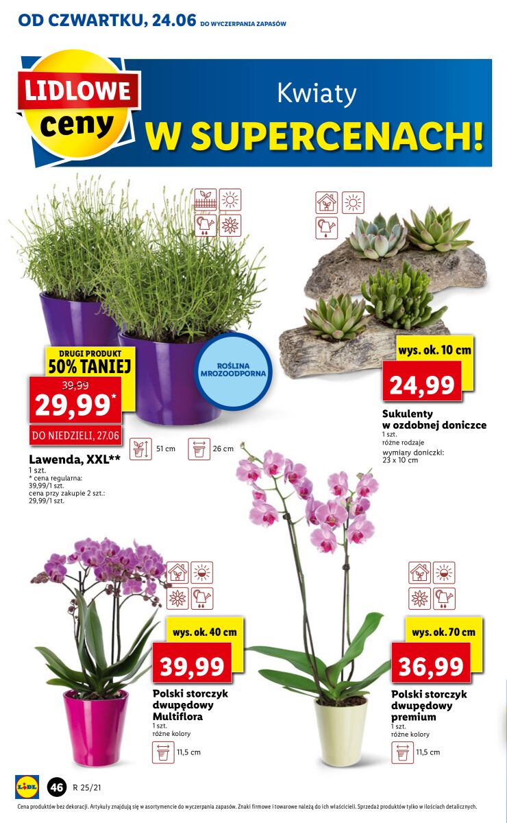 Gazetka OFERTA WAŻNA OD 24.06 DO 27.06