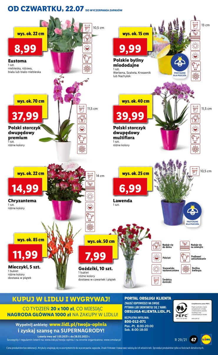 Gazetka OFERTA WAŻNA OD 22.07 DO 24.07