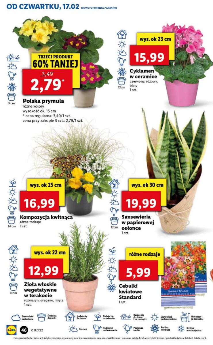 Gazetka OFERTA WAŻNA OD 17.02 DO 19.02