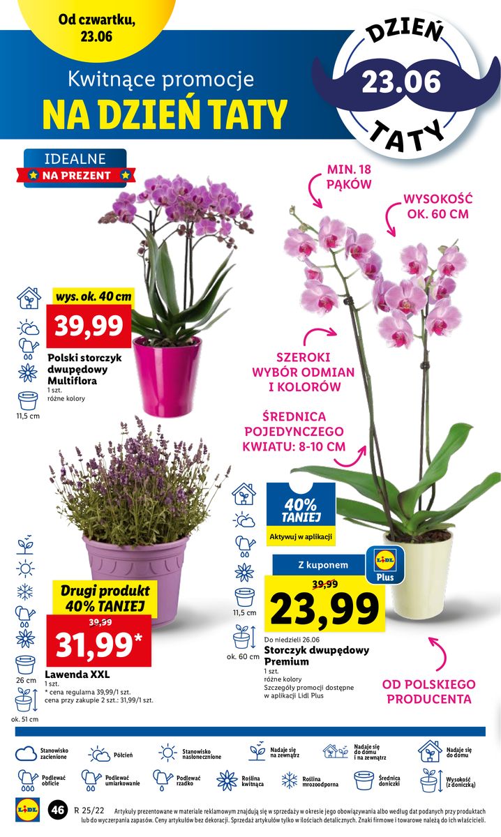 Gazetka OFERTA WAŻNA OD 23.06 DO 26.06