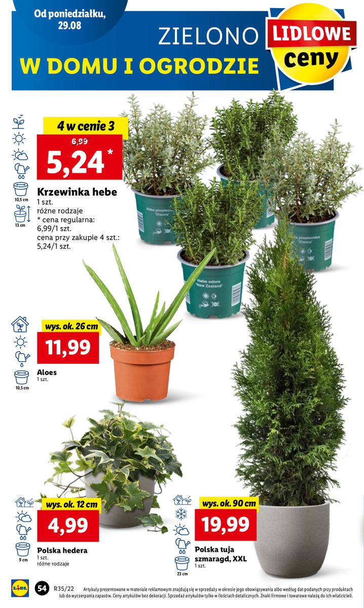 Gazetka OFERTA WAŻNA OD 29.08 DO 31.08