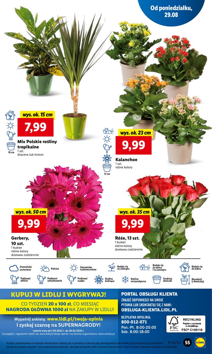Gazetka OFERTA WAŻNA OD 29.08 DO 31.08