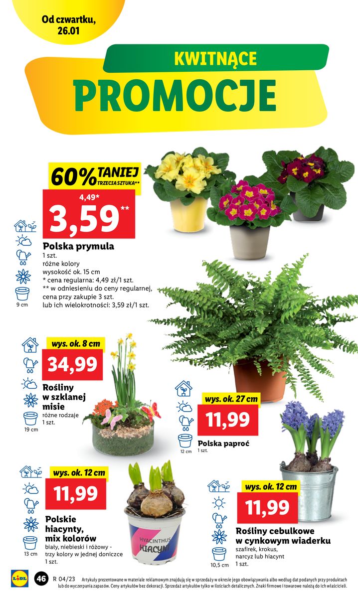 Gazetka OFERTA WAŻNA OD 26.01 DO 29.01