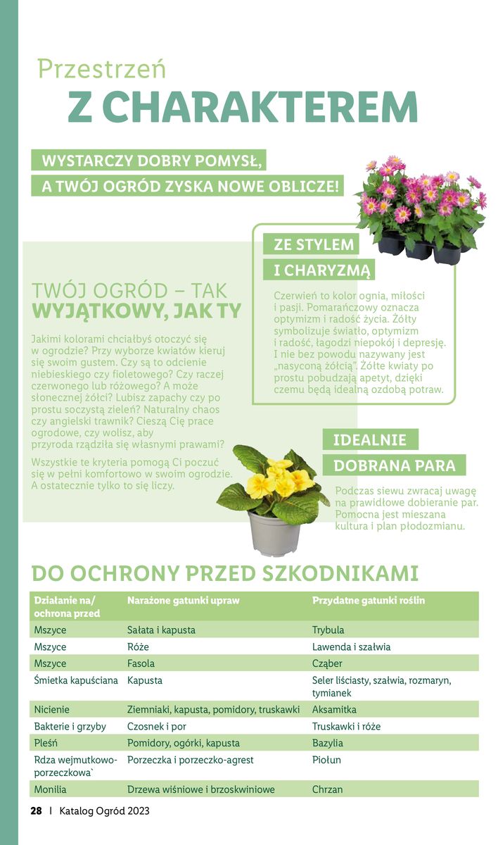 Gazetka KATALOG OGRÓD
