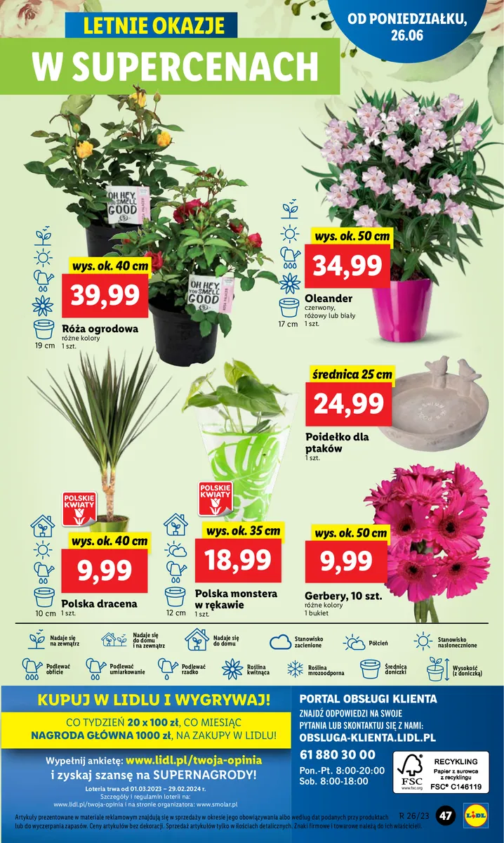 Gazetka OFERTA WAŻNA OD 26.06 do 28.06