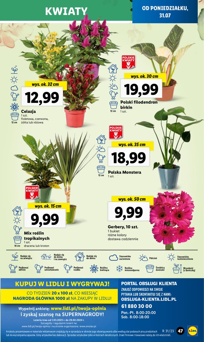 Gazetka OFERTA WAŻNA OD 31.07 do 5.08