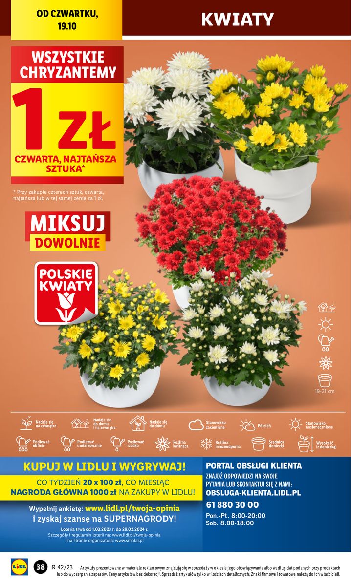 Gazetka OFERTA WAŻNA OD 19.10 do 21.10