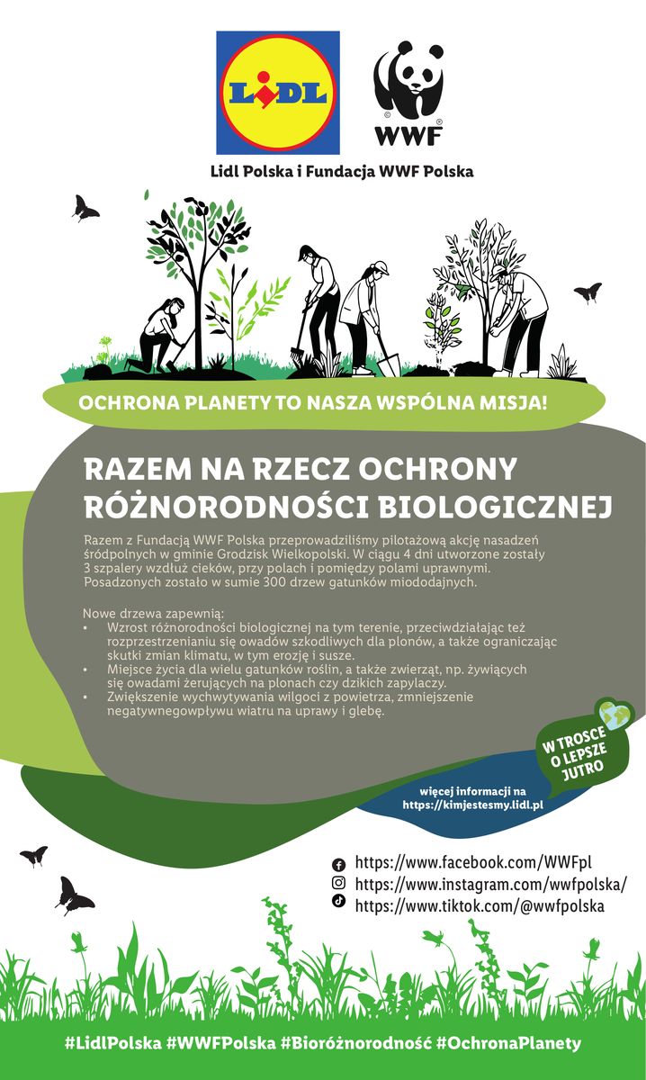 Gazetka OFERTA WAŻNA OD 20.11