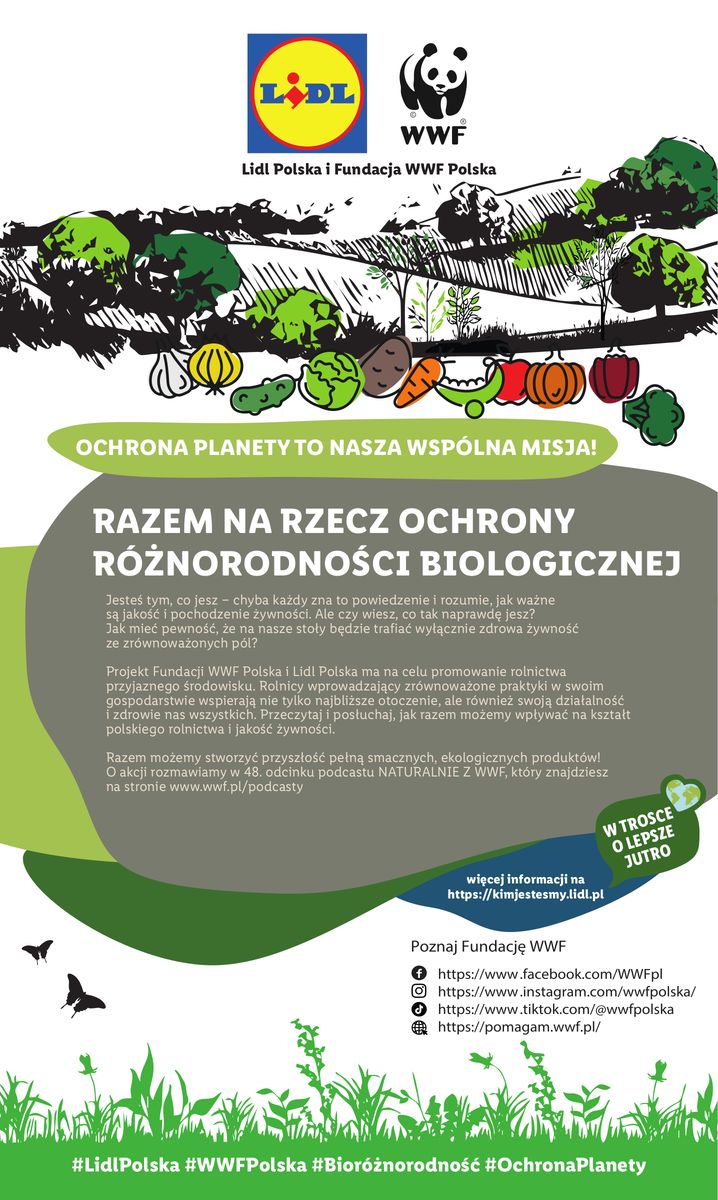 Gazetka OFERTA WAŻNA OD 11.12