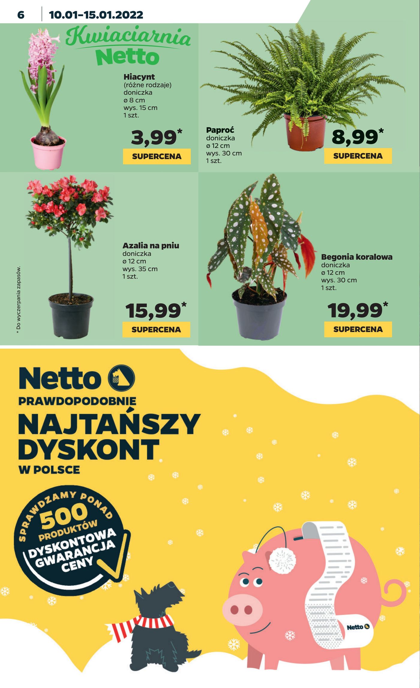 Gazetka Gazetka spożywcza Netto t. 02/22