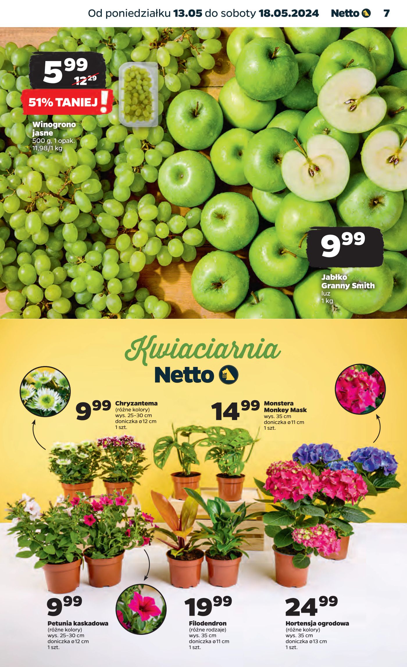 Gazetka Netto Gazetka Spożywcza 20/24A