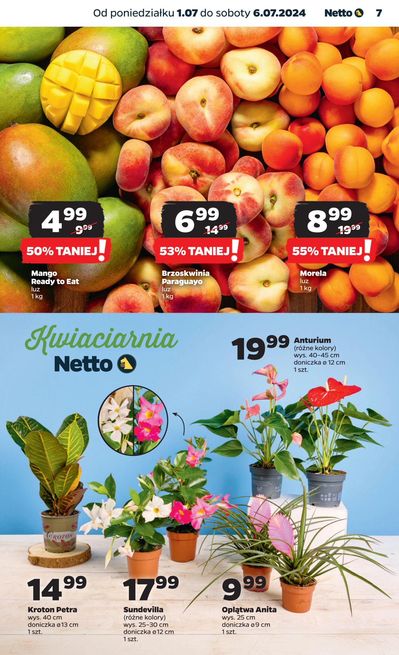 Gazetka Netto Gazetka Spożywcza 27/24A