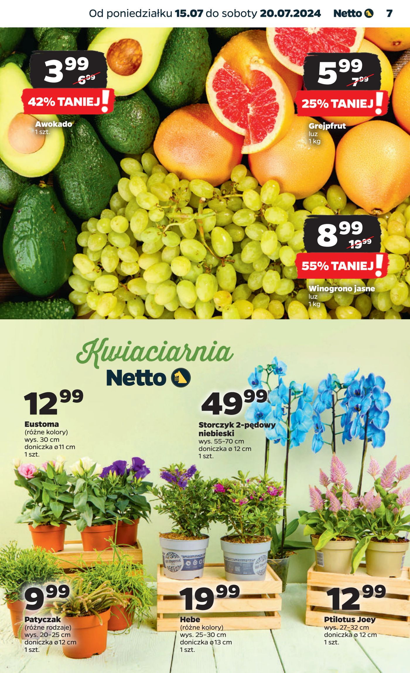 Gazetka Netto Gazetka Spożywcza 29/24A