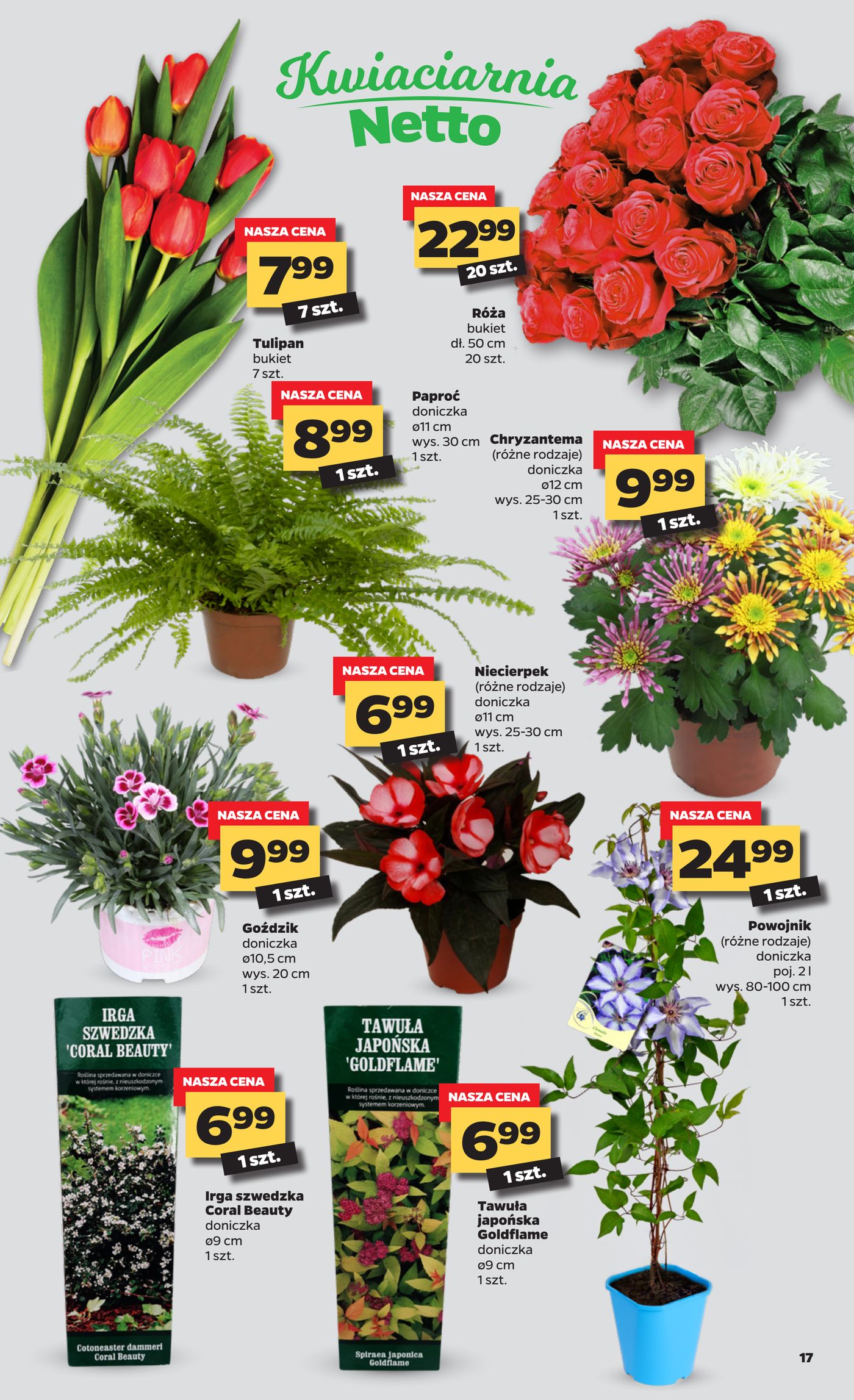 Gazetka Gazetka spożywcza Netto t. 16/21