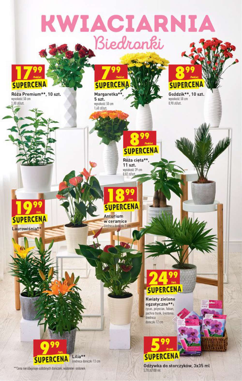 Gazetka Oferta tygodnia