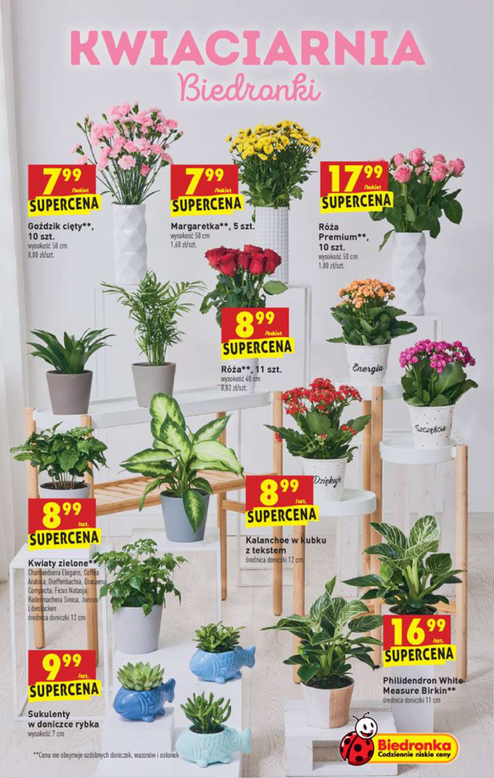 Gazetka Oferta tygodnia