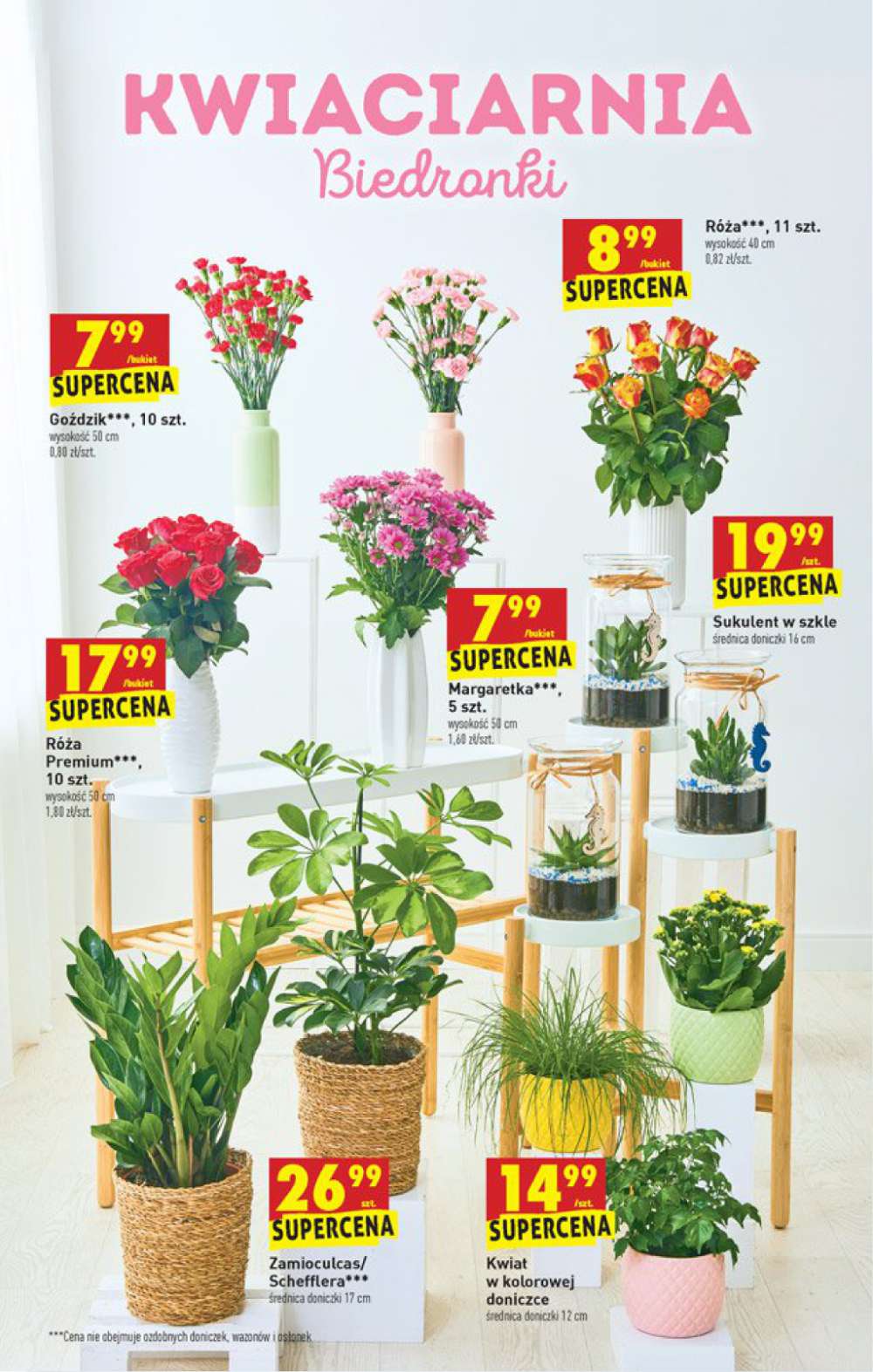 Gazetka Oferta tygodnia