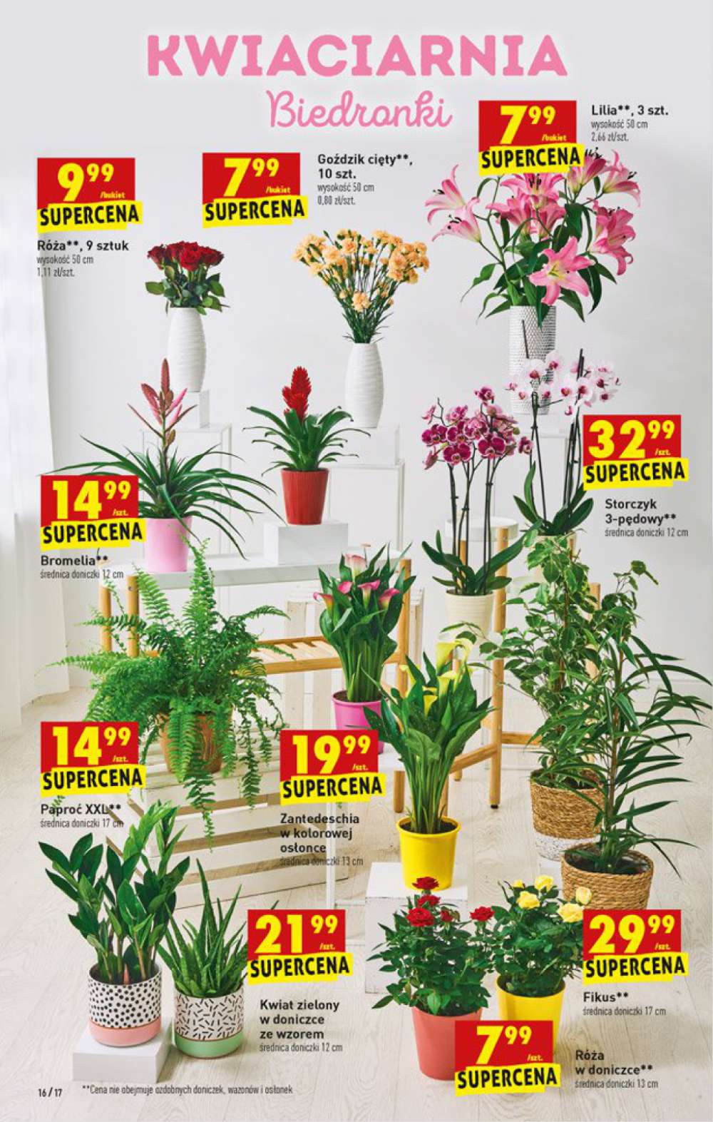 Gazetka Oferta tygodnia