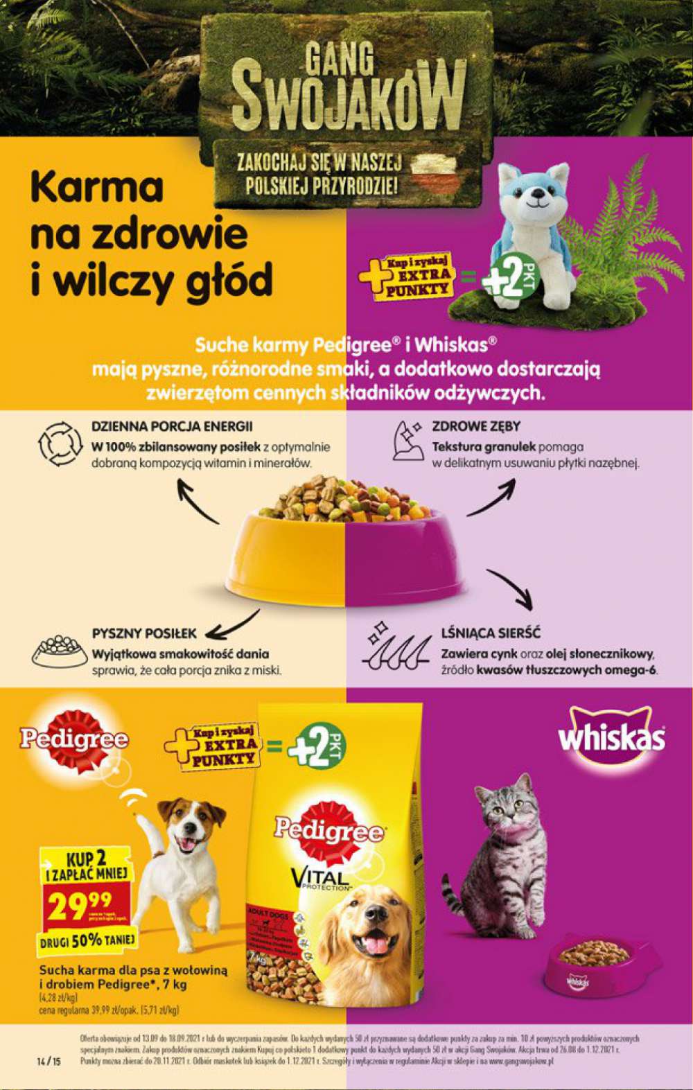Gazetka Oferta tygodnia