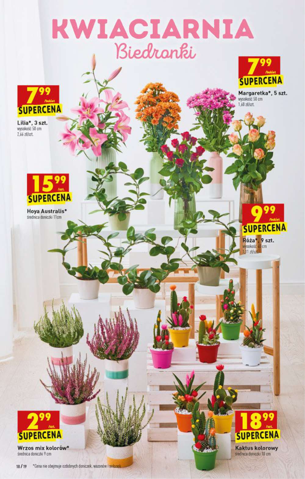 Gazetka Oferta tygodnia