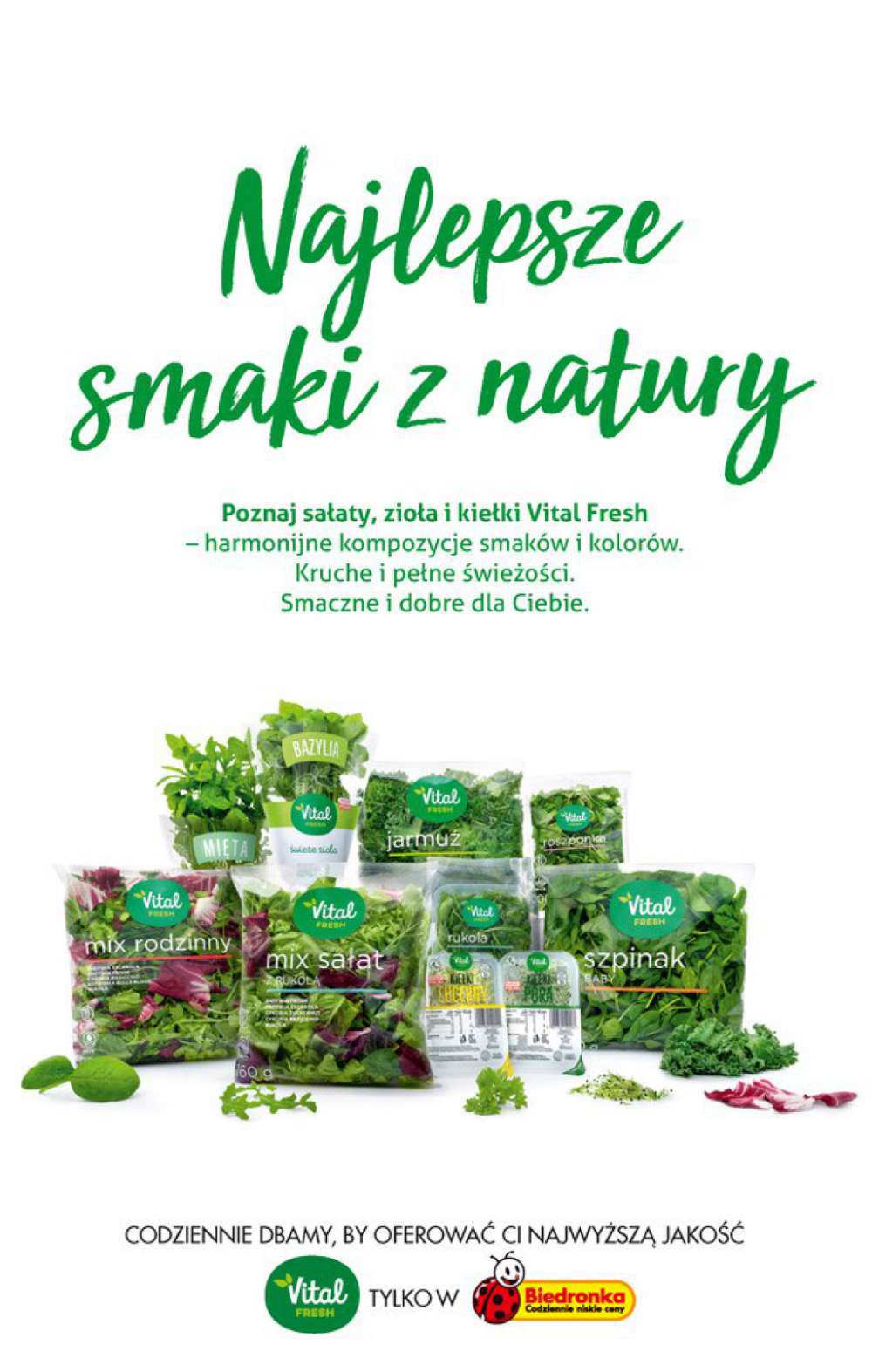 Gazetka Oferta tygodnia