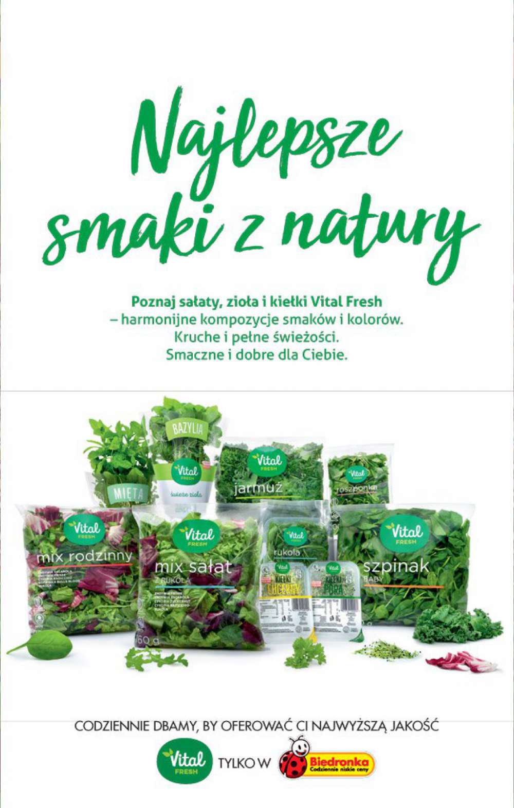 Gazetka Oferta tygodnia