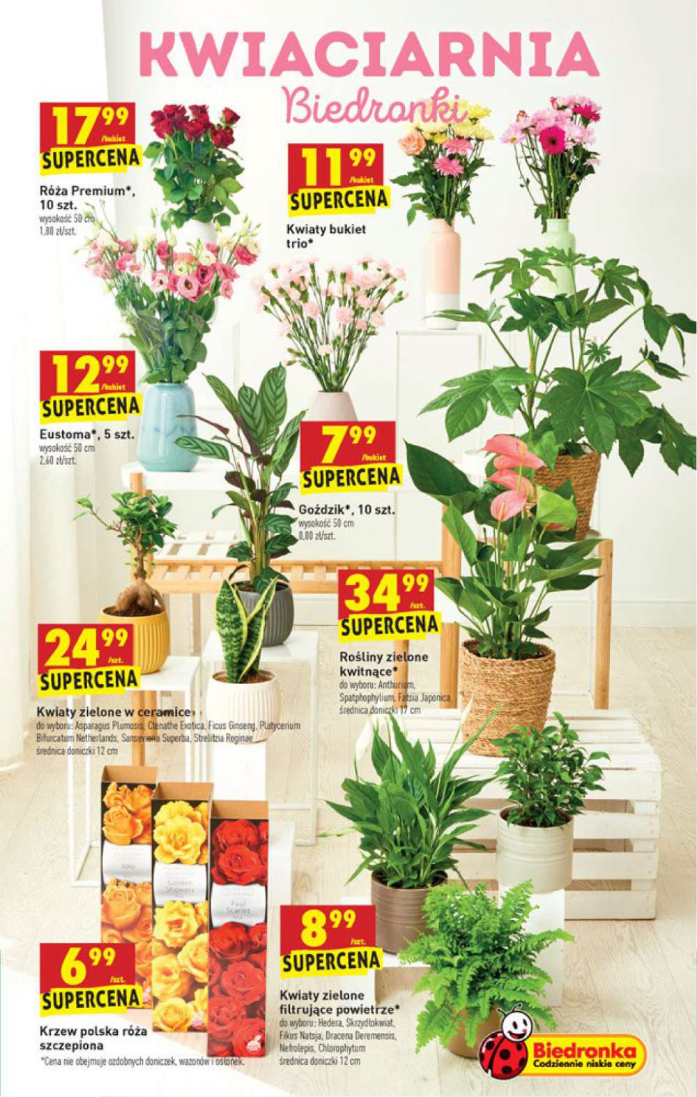 Gazetka Oferta tygodnia