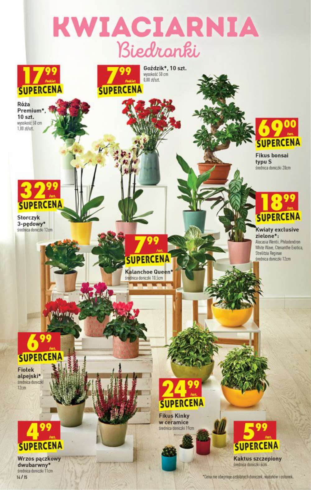 Gazetka Oferta tygodnia