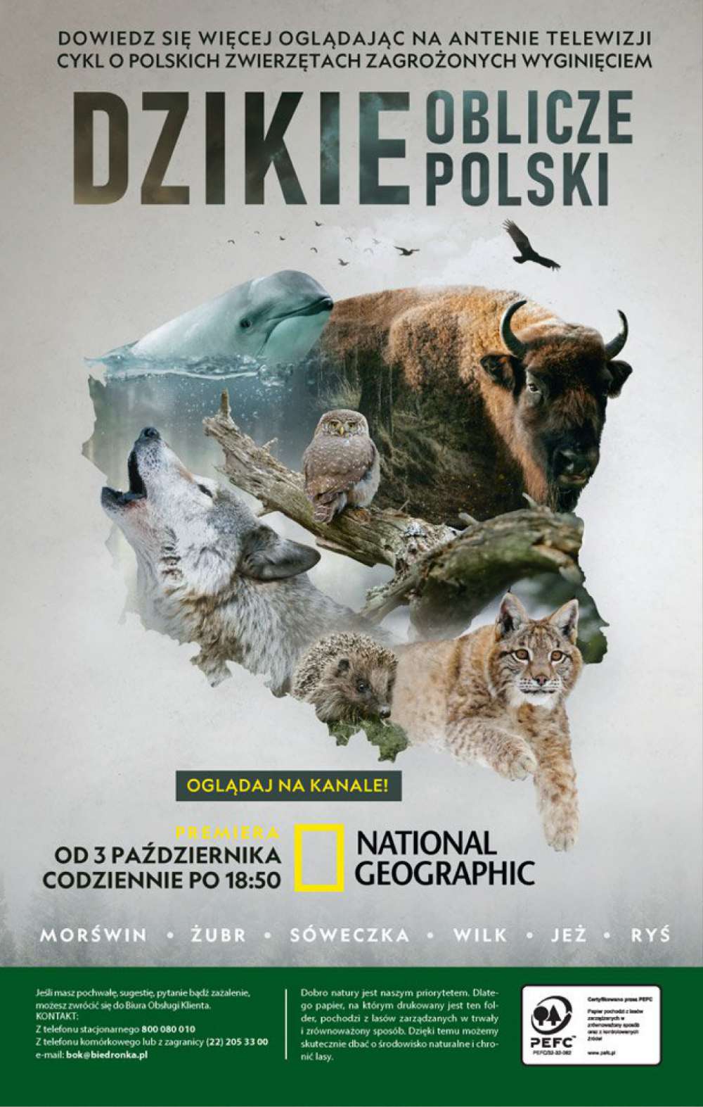 Gazetka Oferta tygodnia