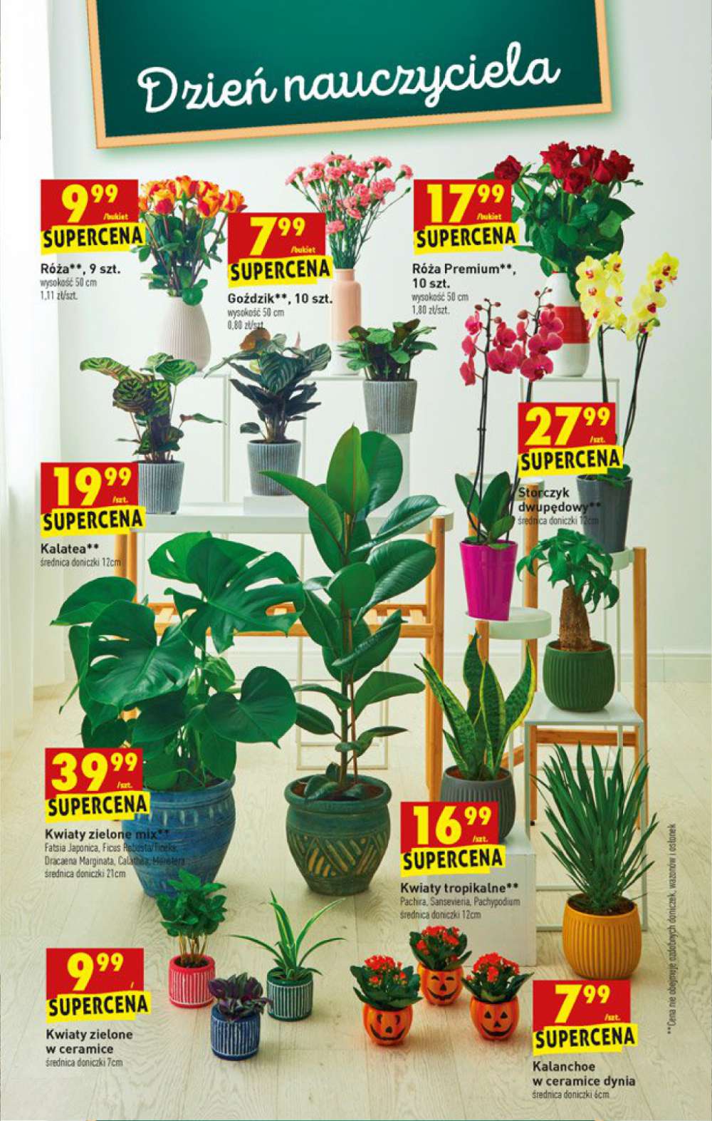 Gazetka Oferta tygodnia