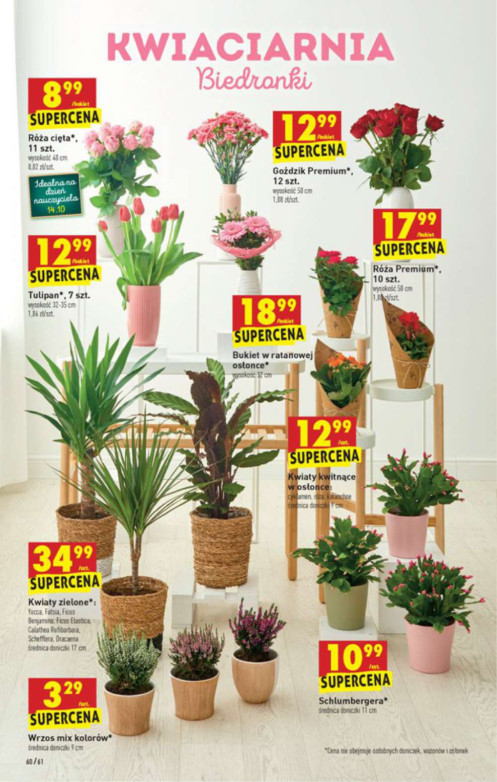 Gazetka Oferta tygodnia