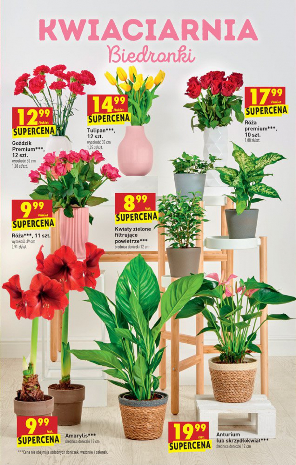 Gazetka Oferta tygodnia