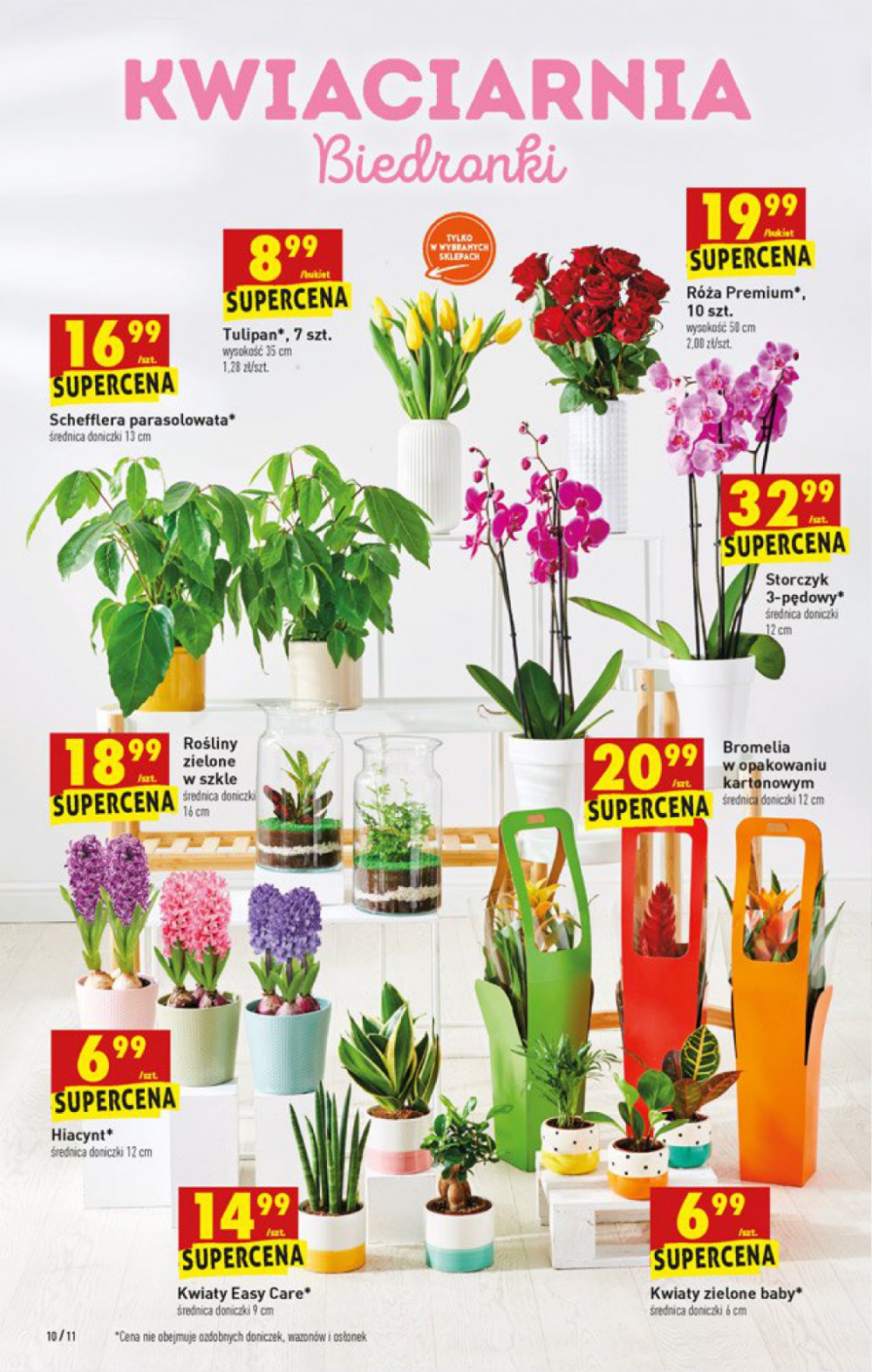 Gazetka Oferta tygodnia