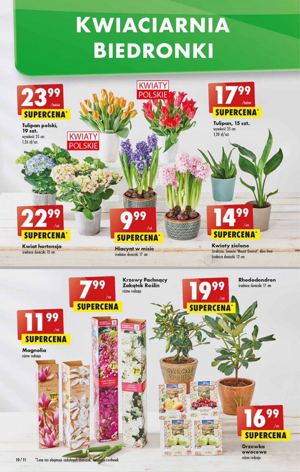Gazetka Oferta tygodnia