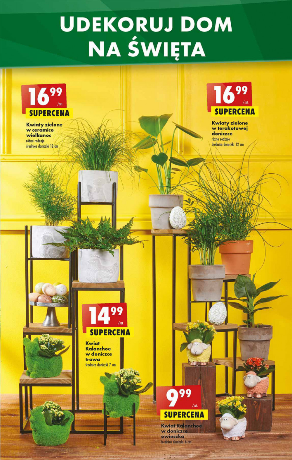 Gazetka Oferta tygodnia
