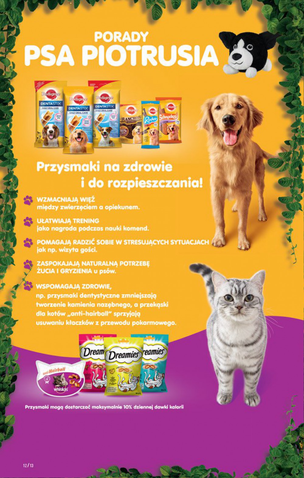 Gazetka Oferta tygodnia
