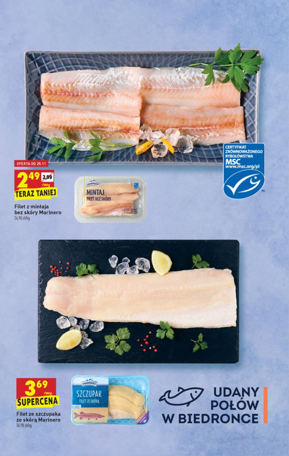Gazetka Oferta tygodnia