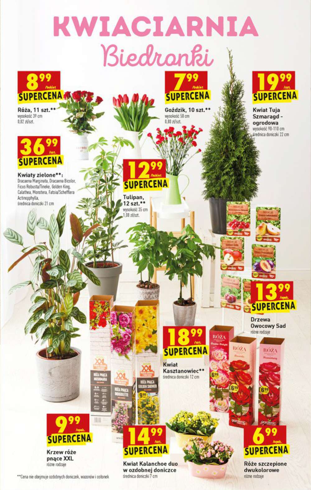 Gazetka Oferta tygodnia