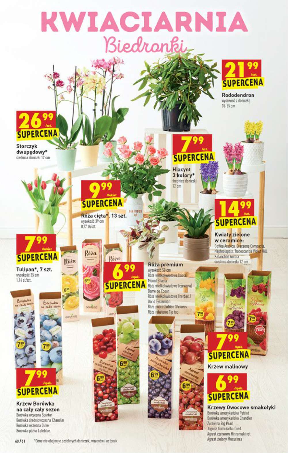 Gazetka Oferta tygodnia