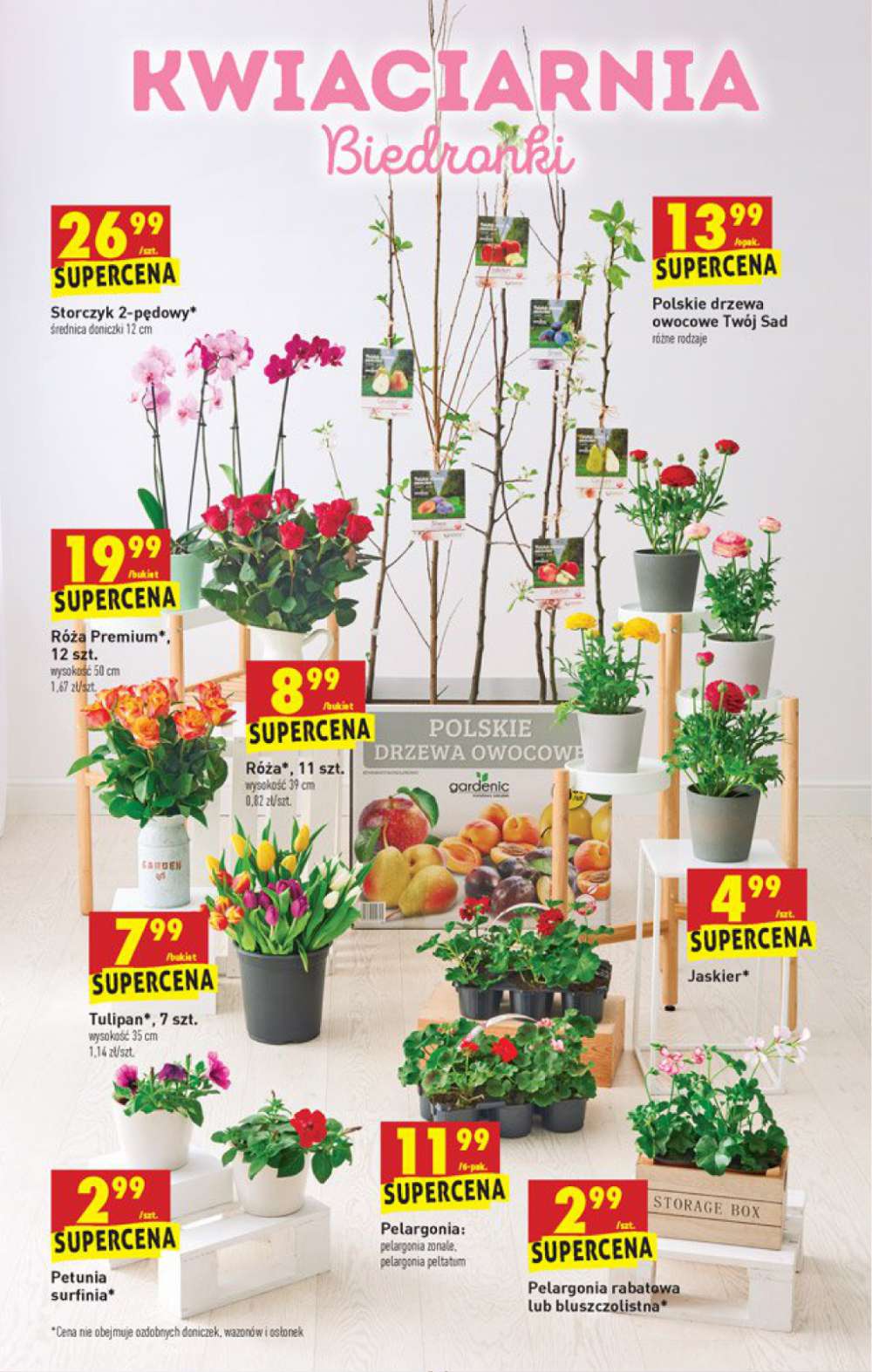 Gazetka Oferta tygodnia