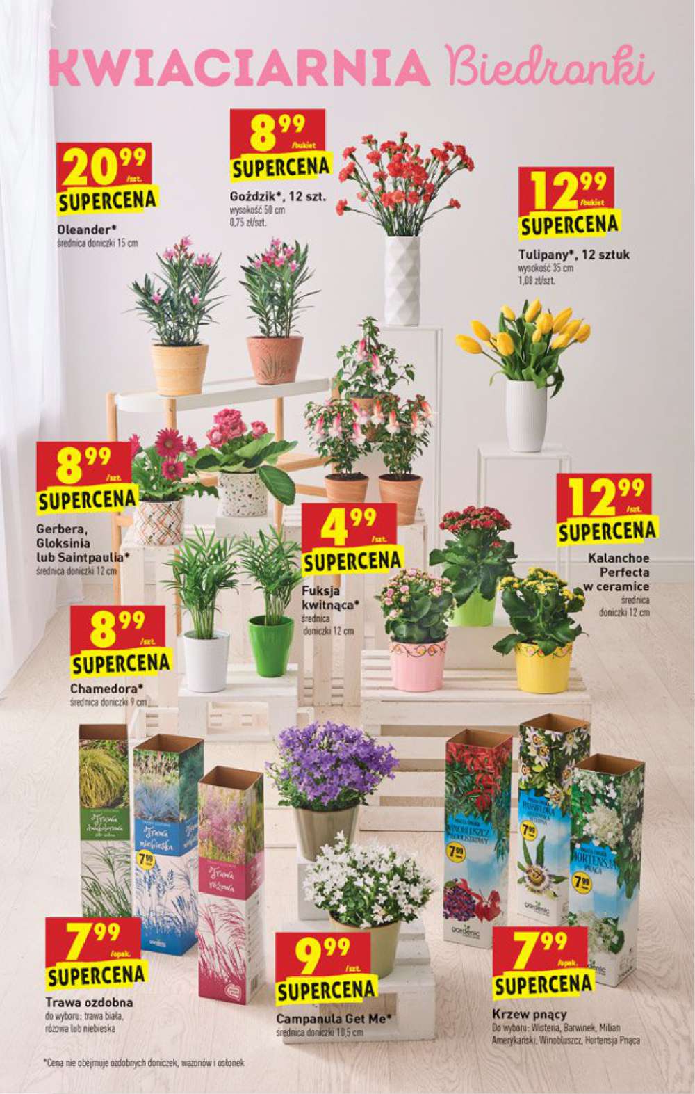Gazetka Oferta tygodnia